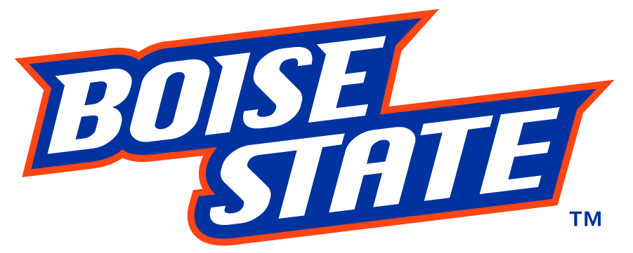 Boise State Broncos 2012-2013 Wordmark Logo diy DTF decal sticker